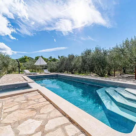 Pool House Potirna - Happy *