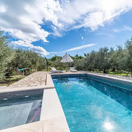 Pool House Potirna - Happy *
